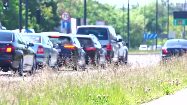 Samochody Zaczynają Się Poruszać Skrzyżowaniu Ruch Samochodowy Mieście Gęsty Ruch — Wideo stockowe