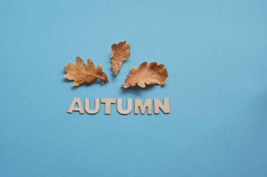 Yaz şapkası ve kuru meşe yaprakları Woody sonbahar yazıtlarıyla birlikte. Okula ya da anaokuluna. Yaz zamanı, yaratıcılık ve özgeçmiş öğrenme