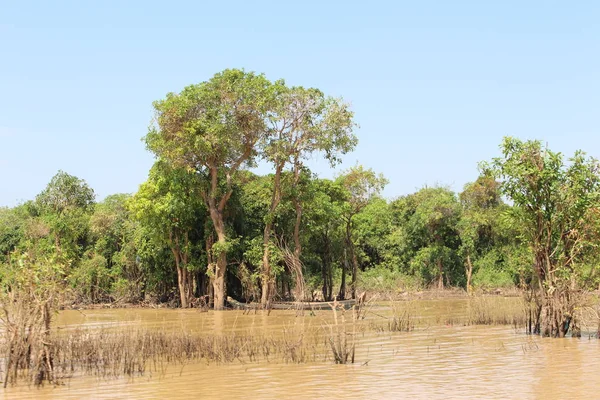 Köy Tonle Sap Gölü Kamboçya Siem Reap yüzen
