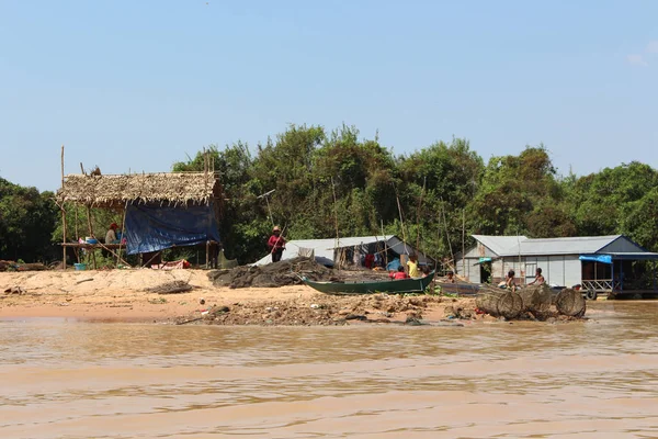 Fischleben Auf Dem Tonle Saft See Kambodscha — Stockfoto