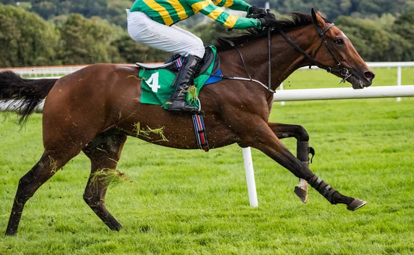 Rennpferd Und Jockey Auf Der Rennstrecke Hautnah Erleben — Stockfoto