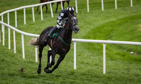 Leda Tävlingshäst Och Jockey Galopperande Sista Svängen Mot Mållinjen — Stockfoto