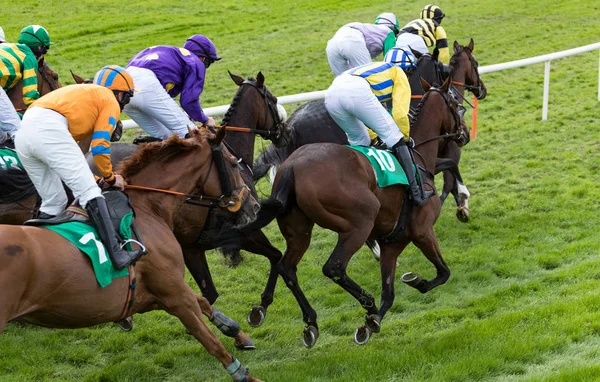 Gruppinterna Jockeys Och Kapplöpningshästar Racing Mot Mållinjen — Stockfoto