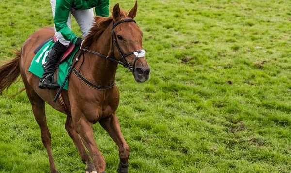 Närbild Enskild Ras Häst Och Jockey Galopperar Gräset Täckt Racerbana — Stockfoto