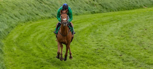 単一の競走馬と草の覆われたサーキットのギャロッピング騎手 — ストック写真