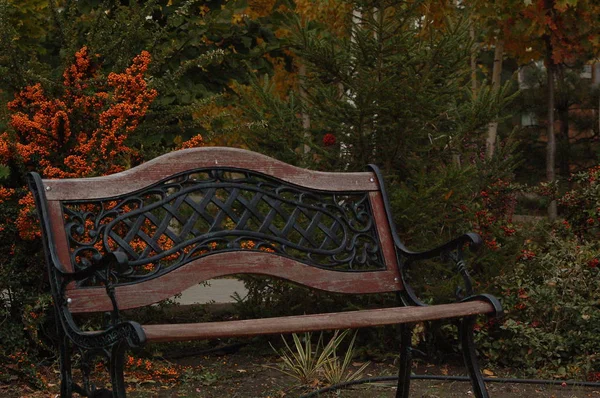 Bänk Parken Hösten Bakgrunden Gula Blad — Stockfoto