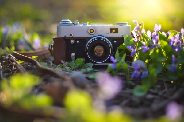 Vintage Camera Flowers — Stock Photo, Image