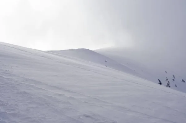 Karpatlar güneşli bir günde