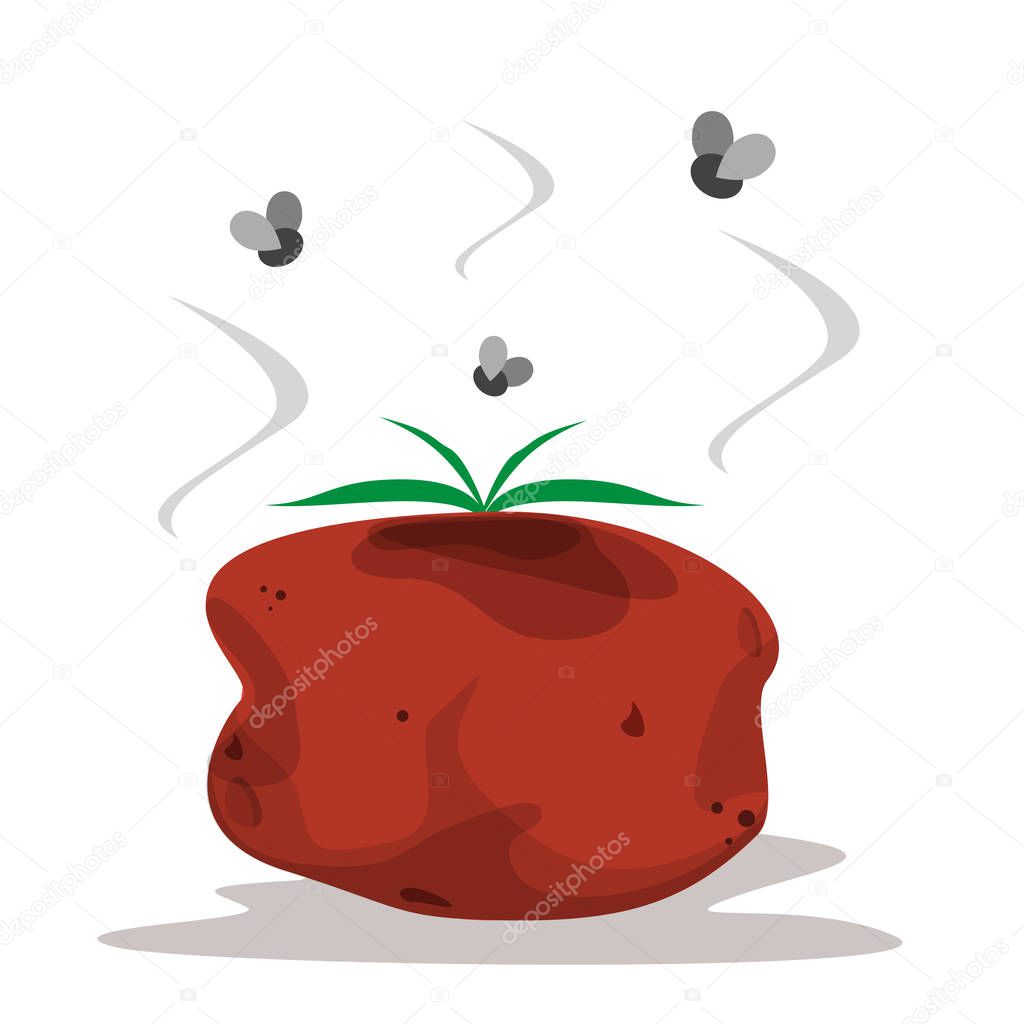 Rotten tomato vector isolated. Fly above the vegetable garbage.