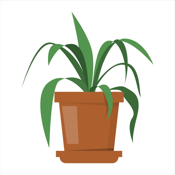 Planta verde no vaso vetorial isolado. Passatempo de jardinagem — Vetor de Stock
