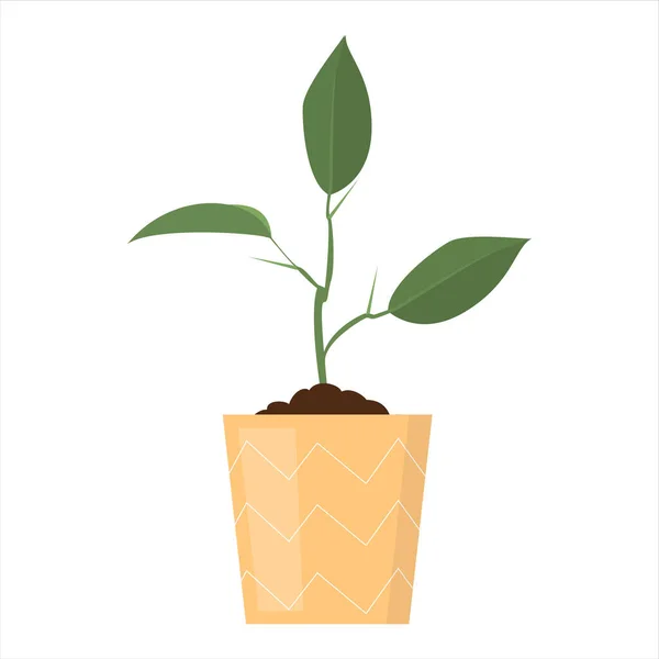 Planta verde en el vector de maceta aislado. Jardinería hobby — Vector de stock