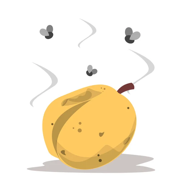 Abricot pourri et voler autour du vecteur isolé. Alimentation végétarienne — Image vectorielle