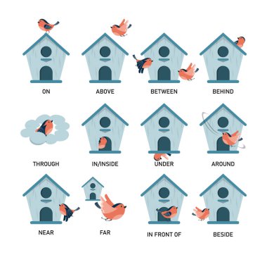 Bird and birdhouse, learning preposition vector isolated. clipart