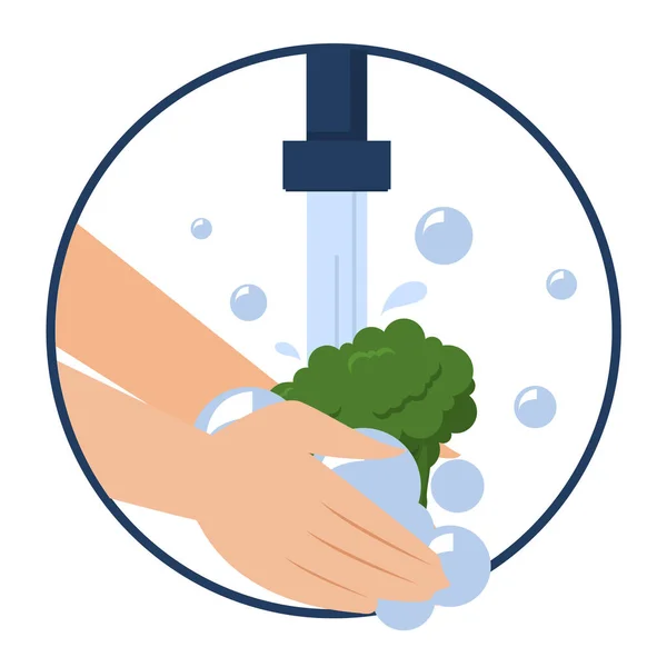 Handtvätt Broccoli Vektor Isolerad Tvätta Frukt Och Grönsaker Innan Äter — Stock vektor