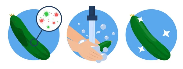 汚れたキュウリを洗う手ときれいなベクトル分離になります 健康と衛生のアイデア 細菌からの食品の洗浄 ウイルス病からの保護 — ストックベクタ