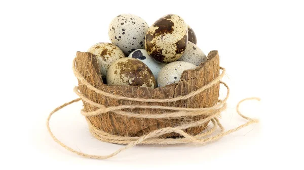 Huevos Codorniz Manchados Crudos —  Fotos de Stock