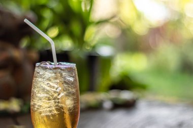 Bael bitkisel suyu ile Tay bitkisel buz ahşap yere koy. Taze yemek.