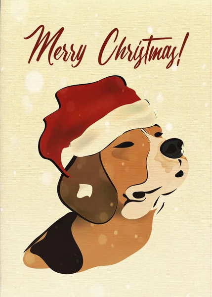 Veselé Vánoční Přání Pes Beagle Sněhové Koule — Stock fotografie