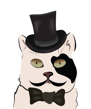 Bir kedi ile silindir Illustration. Siyah ve beyaz şapka ve papyon ile şirin yavru kedi.
