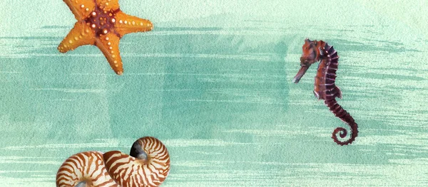 Sealife summer banner with oil paint and watercolor brushes. Seashell, seahorse, starfish on a marine background with text space.