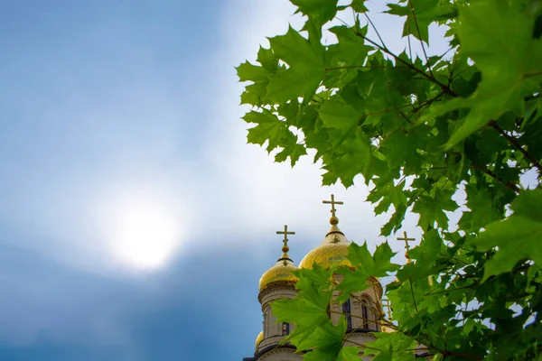 Церковь Золотые Куполы Против Неба Солнце Ветви Зелеными Листьями Стоковое Изображение