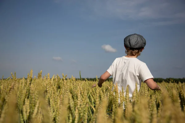 Ein Junge Mit Vintage Mütze Einem Gelben Weizenfeld Sommer Stockbild