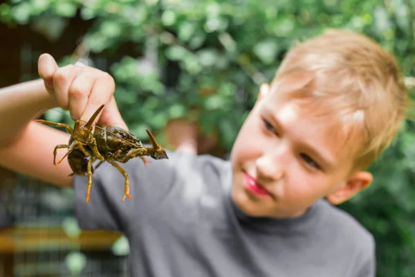 Big river crab in the hand of a boy - river catch