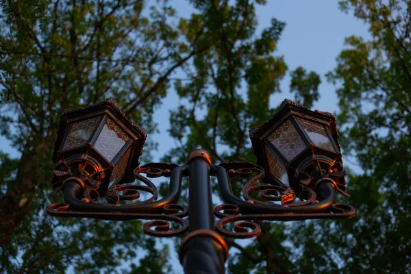 A beautiful street lamp, taken from below against the sky and trees-made of glass and iron.