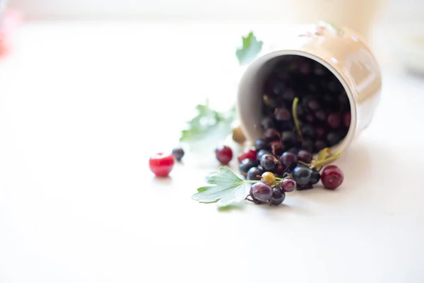 아름다운 요리의 열매들 배경에 여전히 커런트 라즈베리 아름다운 머그잔 — 스톡 사진