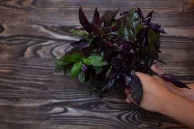Bir demet fesleğen aromalı otlar yemek pişirmek için, lezzetli yemekler için ahşap bir arka planda.