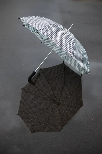 Snail Sitting Red Rubber Boots Walk Rain — Stock Photo, Image