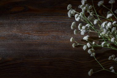 Ahşap bir arka planda güzel arka plan çiçekleri