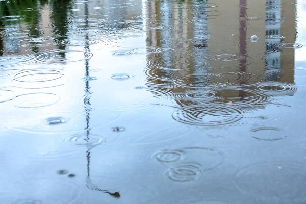Rainy Cloudy Weather Puddle Reflects Houses Trees Lights Leaves Circles — Stock Photo, Image