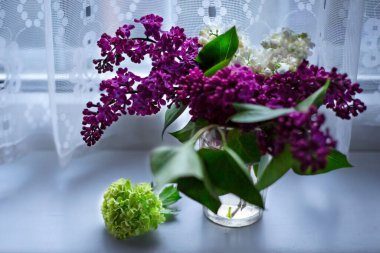 Güzel, narin küçük bir buket beyaz ve leylak çiçekleri şeffaf bir vazoda pencerenin üzerinde beyaz bir açık giyim perdesiyle