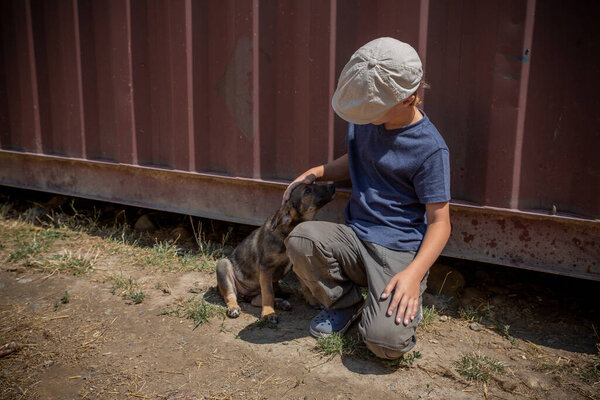 A boy stroking a street puppy - friendship between a child and a dog