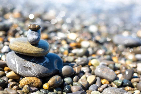 Deniz Kıyısında Okyanusta Nehirde Gölde Islak Parlak Taşlar — Stok fotoğraf