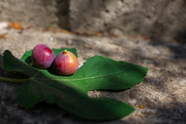 菲格果 在菲格树叶上的紫色多汁果实 — 图库照片