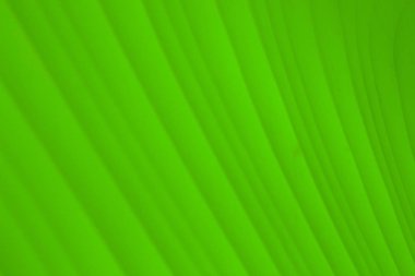 Yeşil deri doku. arka plan olarak kullanabilme