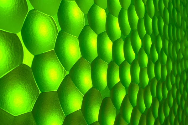 Zielona Skóra Tekstury Może Być Używany Jako Tło — Zdjęcie stockowe