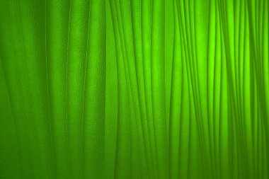 Yeşil deri doku. arka plan olarak kullanabilme