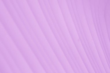 Mor deri doku. arka plan olarak kullanabilme