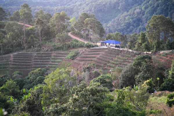 Blick Auf Die Natur Thailand — Stockfoto