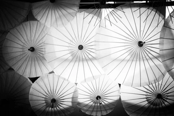 Beau Parapluie Blanc Bambou Tissu — Photo