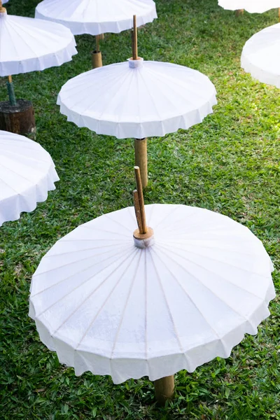 Paper umbrella handmade umbrella of Ban Bo-sang Chiang Mai Asia Thailand.