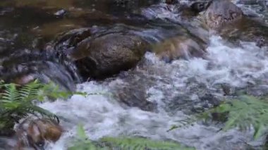 Tayland'da küçük bir köyde kayaların arasından akan akarsu (küçük kanal) .