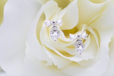 Elmas makro atış ile Gümüş küpe.