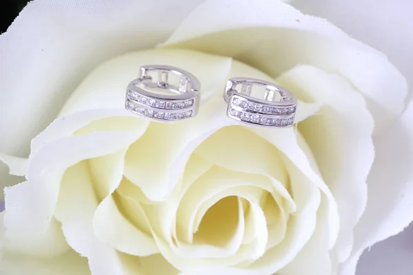Silver Earrings Diamonds Macro Shot — Stock Photo, Image