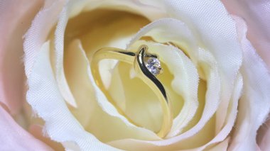 Elmaslı Altın Alyans