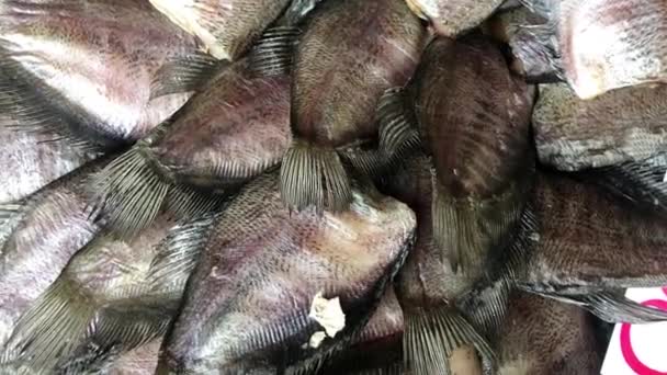 Gourami Ryby, které jsou sušené ryby sušárny se slunečním zářením.Solené konzervace mořské plody syrové rybí filety sušení na proutěném stole na místním trhu. — Stock video