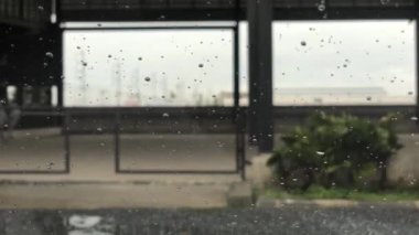 jokey safkan ata biniyor